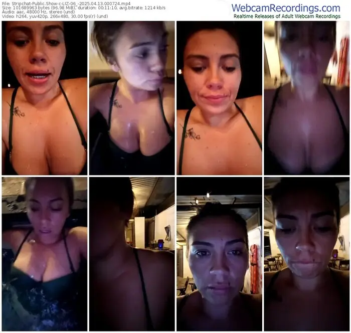 2025/04/13/stripchat-liz-06_-00-07-24