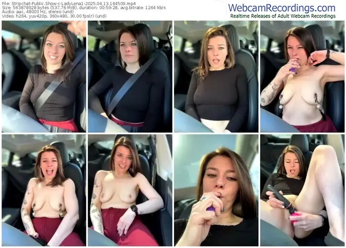 2025/04/13/stripchat-ladylena1-16-45-09