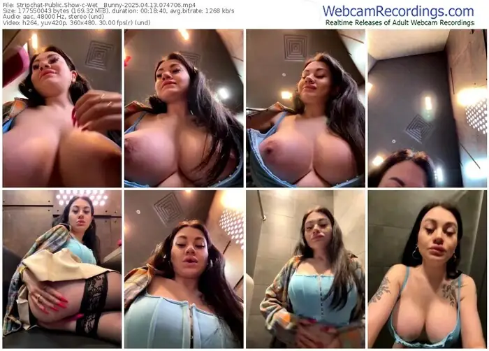 2025/04/13/stripchat-wet__bunny-07-47-06
