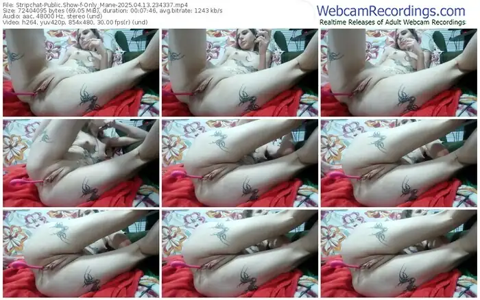 2025/04/13/stripchat-only_mane-23-43-37