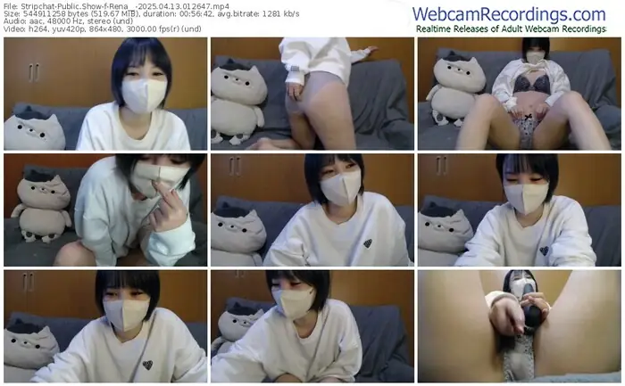 2025/04/13/stripchat-rena__-01-26-47