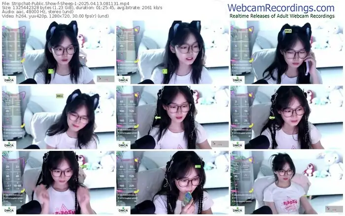 2025/04/13/stripchat-sheep-1-08-11-31