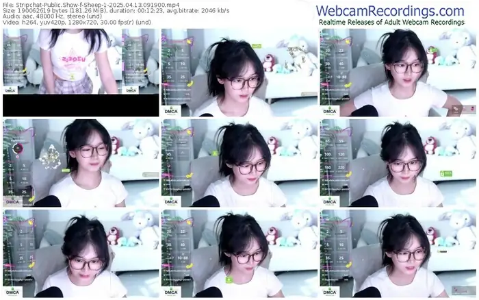 2025/04/13/stripchat-sheep-1-09-19-00