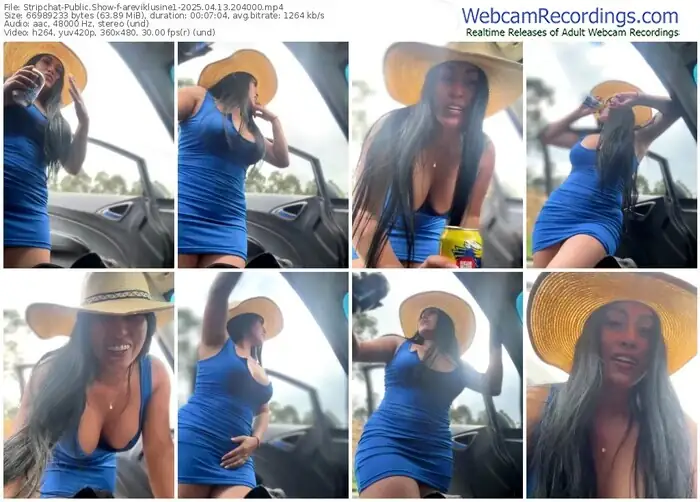 2025/04/13/stripchat-areviklusine1-20-40-00