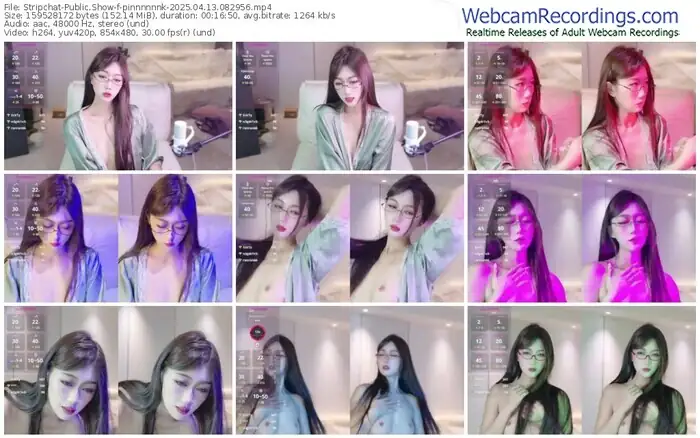 2025/04/13/stripchat-pinnnnnnk-08-29-56