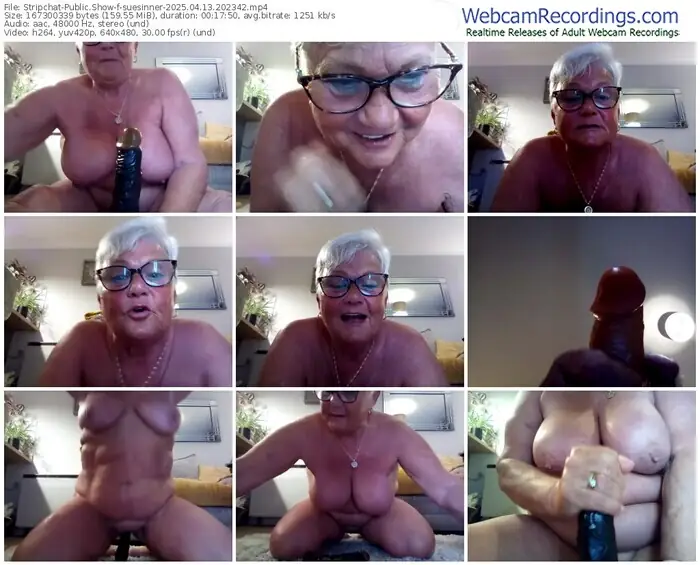 2025/04/13/stripchat-suesinner-20-23-42