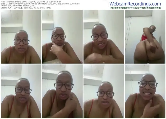 2025/04/13/stripchat-xyz089-00-16-47