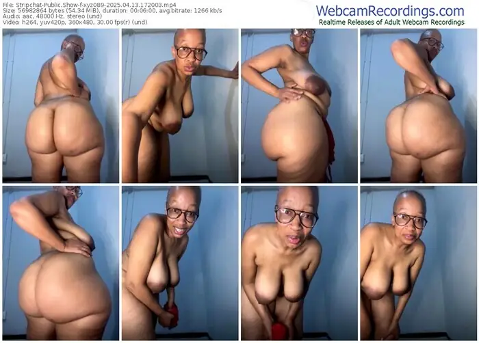 2025/04/13/stripchat-xyz089-17-20-03