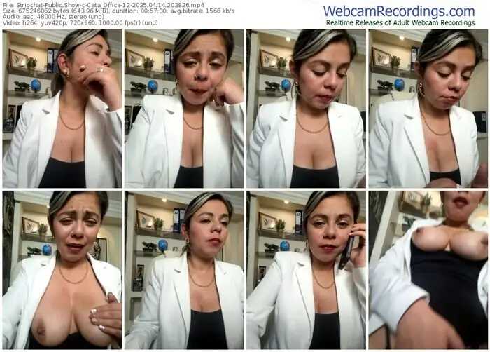 2025/04/14/stripchat-cata_office-12-20-28-26