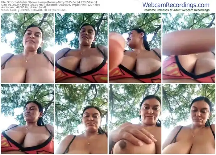 2025/04/14/stripchat-horny-mommy-dirty-22-31-58