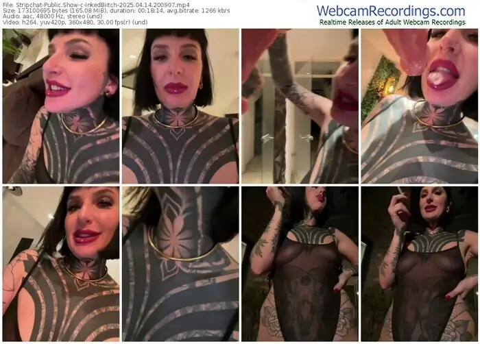 2025/04/14/stripchat-inkedbiitch-20-09-07