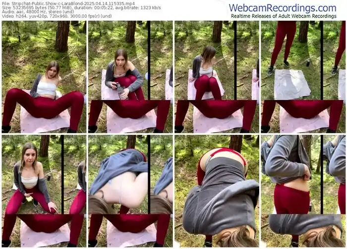 2025/04/14/stripchat-larablond-11-53-35