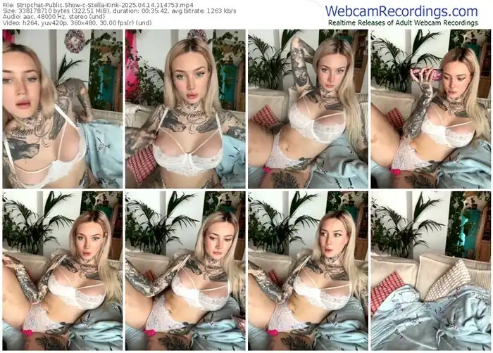 2025/04/14/stripchat-stella-kink-11-47-53