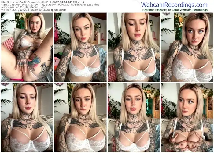 2025/04/14/stripchat-stella-kink-14-12-32