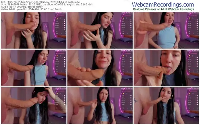 2025/04/14/stripchat-alicekaneky-21-14-06