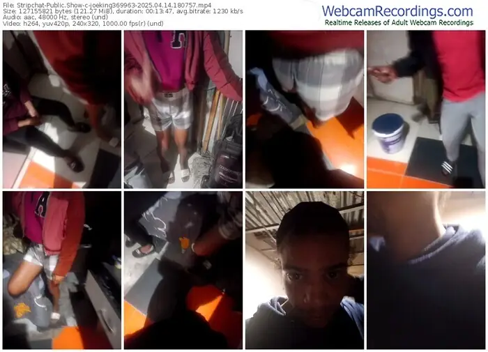 2025/04/14/stripchat-joeking369963-18-07-57