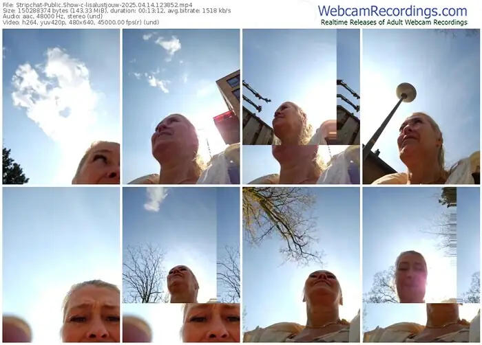 2025/04/14/stripchat-lisalustjouw-12-38-52