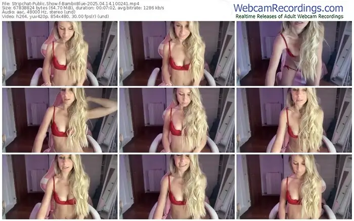 2025/04/14/stripchat-bambiiblue-10-02-41