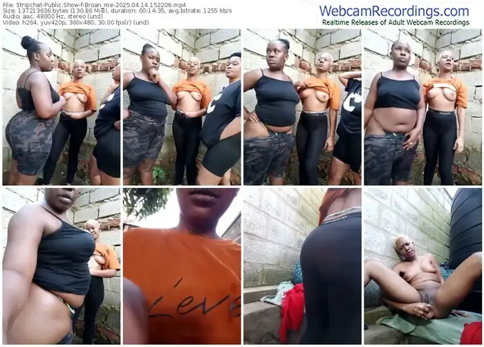 2025/04/14/stripchat-broan_me-15-22-06