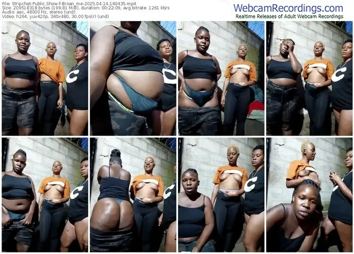 2025/04/14/stripchat-broan_me-16-04-35