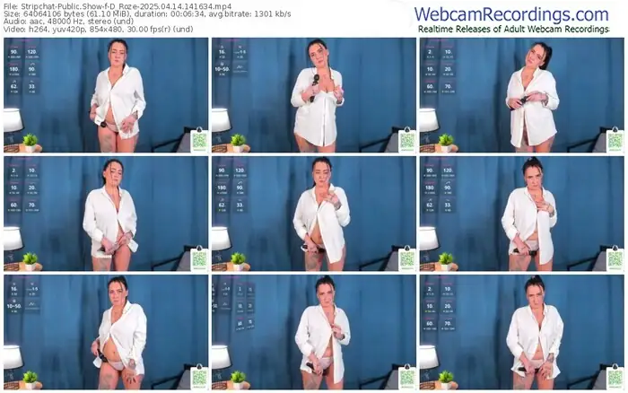 2025/04/14/stripchat-d_roze-14-16-34