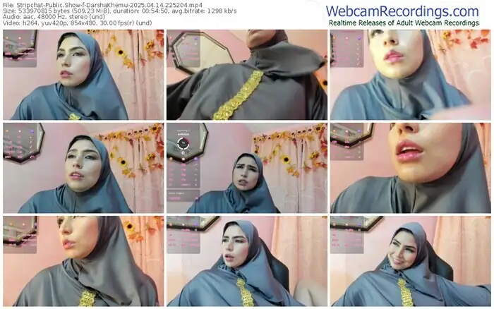 2025/04/14/stripchat-darshakhemu-22-52-04