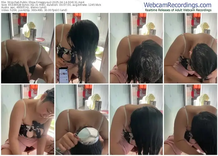 2025/04/14/stripchat-happyou2-00-41-31