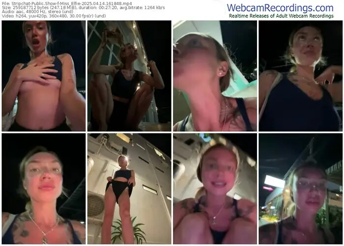 2025/04/14/stripchat-miss_elfie-16-18-48