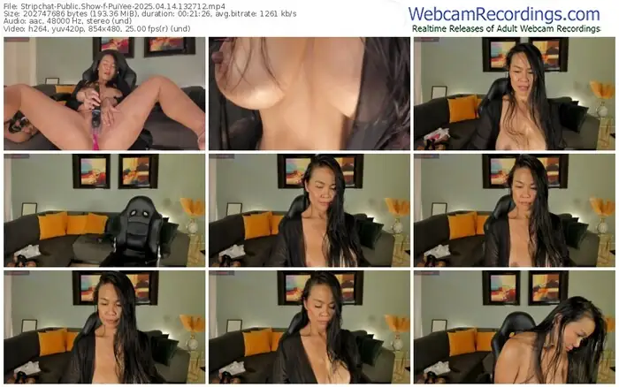 2025/04/14/stripchat-puiyee-13-27-12