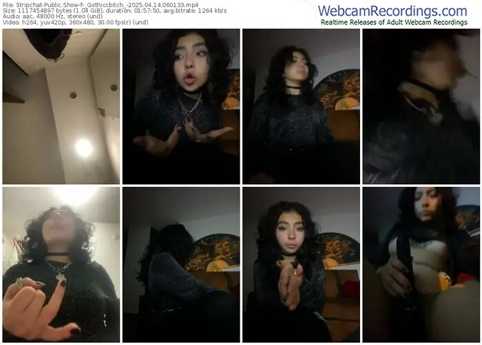 2025/04/14/stripchat-_gothiccbitch_-06-01-33