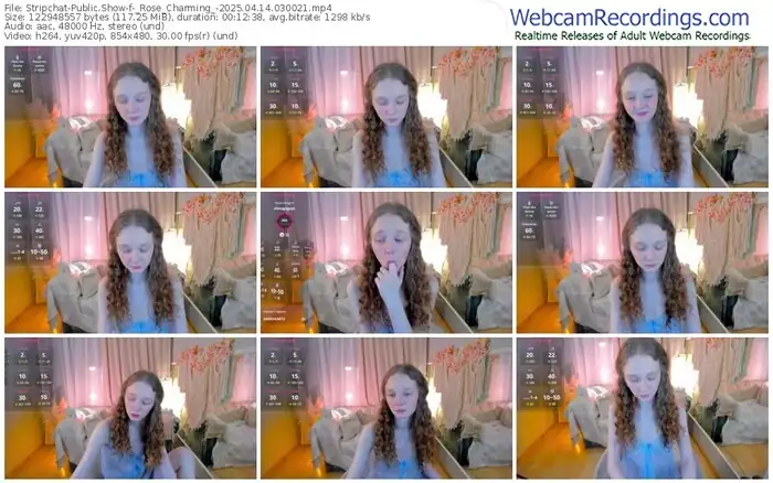 2025/04/14/stripchat-_rose_charming_-03-00-21