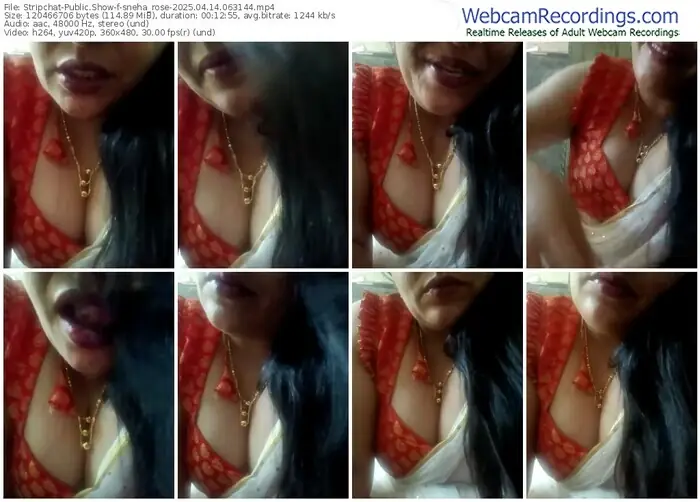 2025/04/14/stripchat-sneha_rose-06-31-44