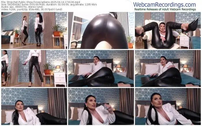 2025/04/14/stripchat-zoeylarkens-17-41-36