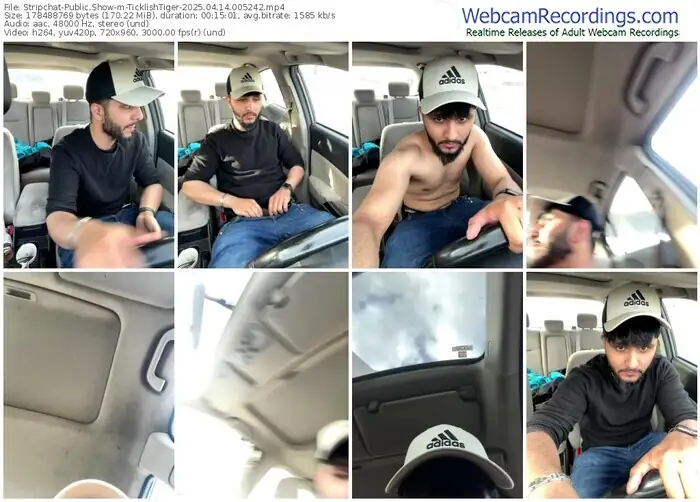 2025/04/14/stripchat-ticklishtiger-00-52-42