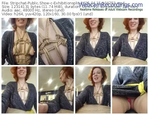 2025/04/15/stripchat-exhibitionsplit-10-47-53