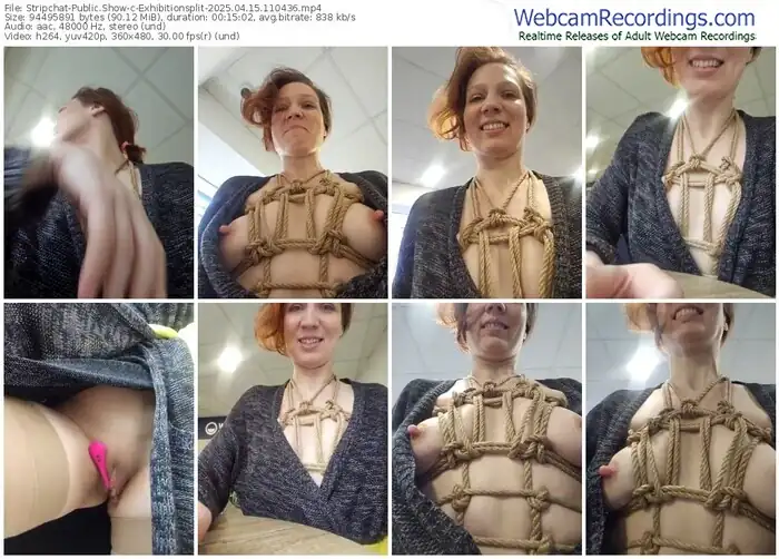 2025/04/15/stripchat-exhibitionsplit-11-04-36