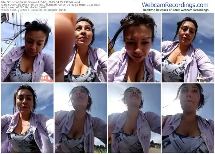 2025/04/15/stripchat-liz-06_-13-23-44