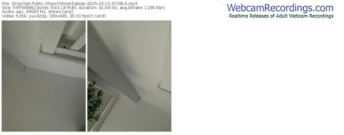 2025/04/15/stripchat-misskhaleeji-07-38-14