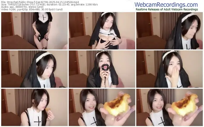 2025/04/15/stripchat-qaz42799-10-45-28