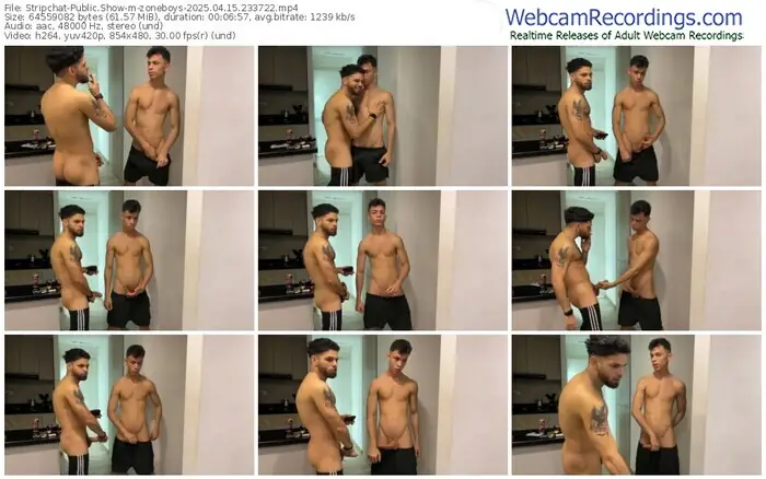 2025/04/15/stripchat-zoneboys-23-37-22
