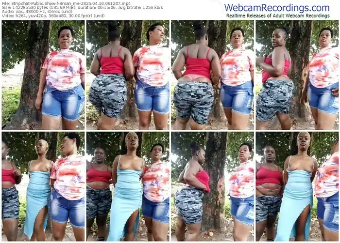 2025/04/16/stripchat-broan_me-09-12-07
