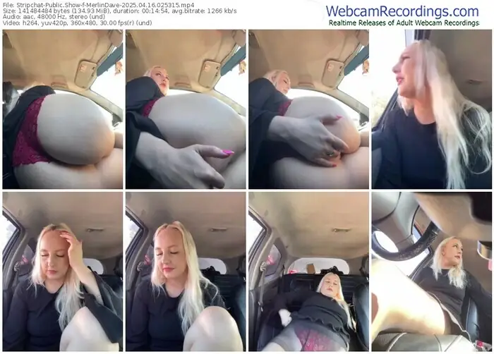 2025/04/16/stripchat-merlindave-02-53-15