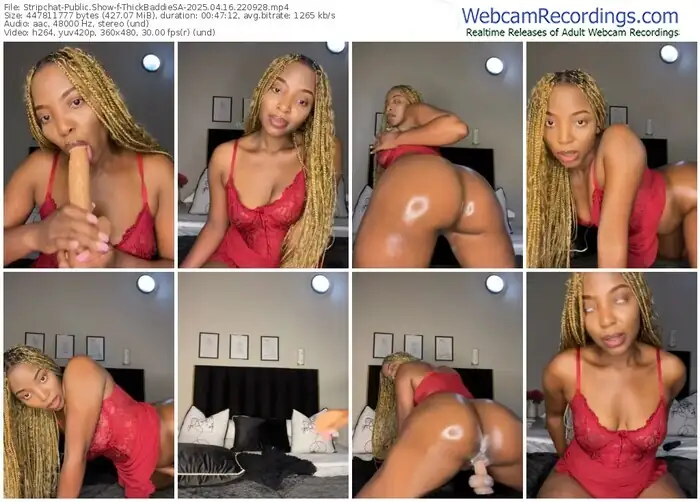 2025/04/16/stripchat-thickbaddiesa-22-09-28