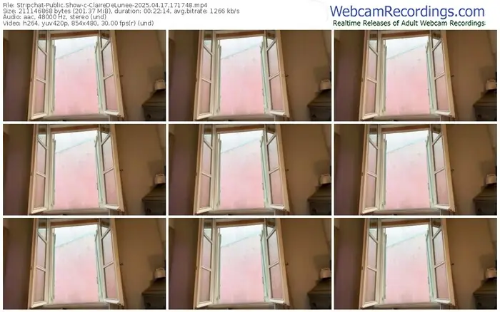 2025/04/17/stripchat-clairedelunee-17-17-48
