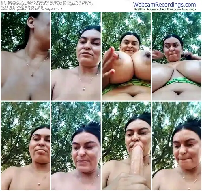 2025/04/17/stripchat-horny-mommy-dirty-22-38-23
