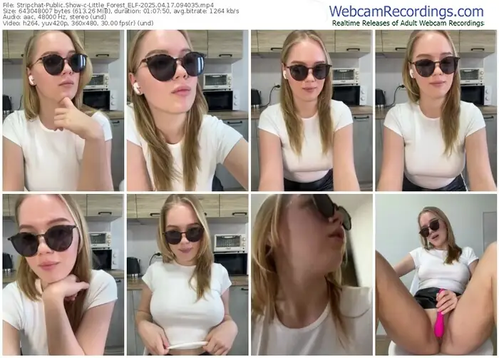 2025/04/17/stripchat-little_forest_elf-09-40-35