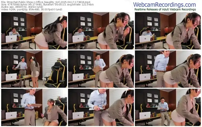 2025/04/17/stripchat-office_naughty_girl-17-38-34