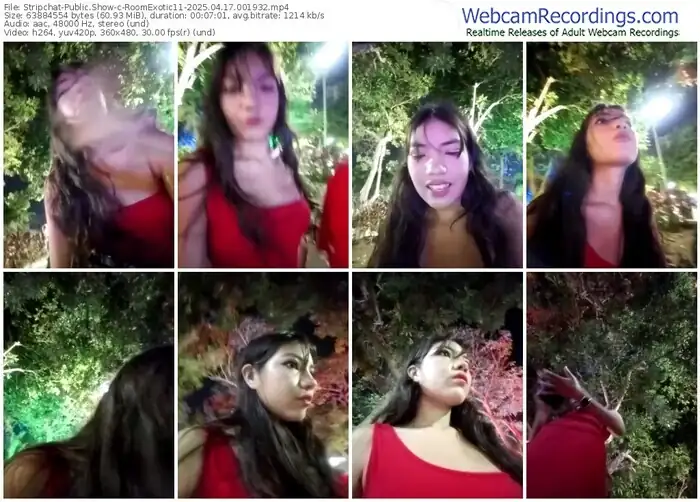 2025/04/17/stripchat-roomexotic11-00-19-32