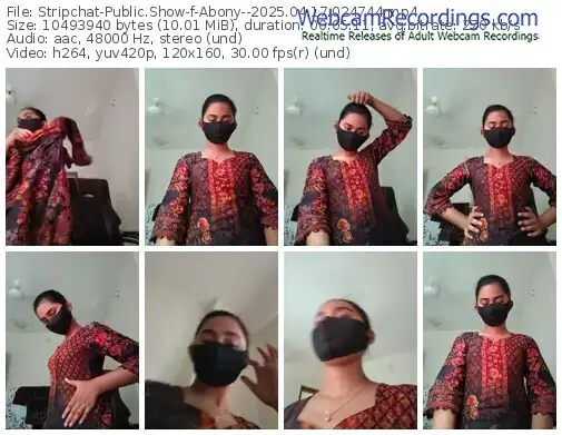 2025/04/17/stripchat-abony--02-47-44