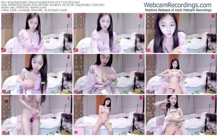 2025/04/17/stripchat-asiaelf-19-13-53